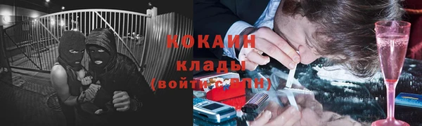 ГАЛЛЮЦИНОГЕННЫЕ ГРИБЫ Лиски