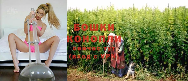 ГАЛЛЮЦИНОГЕННЫЕ ГРИБЫ Лихославль