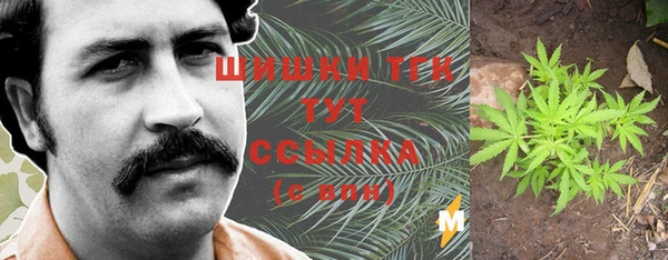ГАЛЛЮЦИНОГЕННЫЕ ГРИБЫ Лиски
